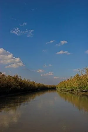 Near Kochikhali