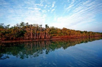 Sundarban – Home for The Bengal Tigers
