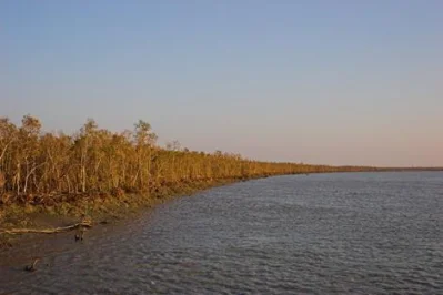 Near Kokilmoni